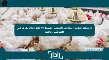 «أسعار اليوم» الدواجن والبيض الجمعة 16 مايو 2025 تعرف على التفاصيل كاملة